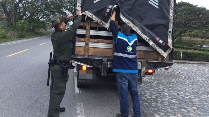 Madera incautada en Santa Fe de Antioquia.