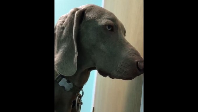 Captura tomada de Twitter