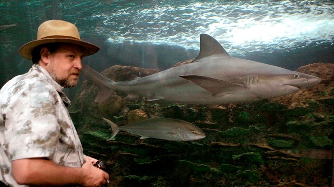 Los tiburones resultan mucho más valiosos "vivos", por los turistas que atraen, que muertos para cortarles sus aletas, que se consideran una delicia gastronómica en algunos países de Asia y a la vez se usan en la industria farmacológica. EFE/Archivo