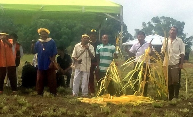Entregan 54 viviendas en el resguardo Caño La Sal al puebli indígena Jiw