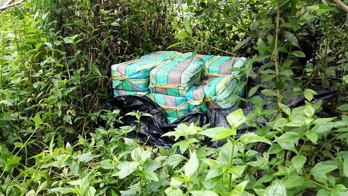 Alcaloides_Armada_Nacional_1