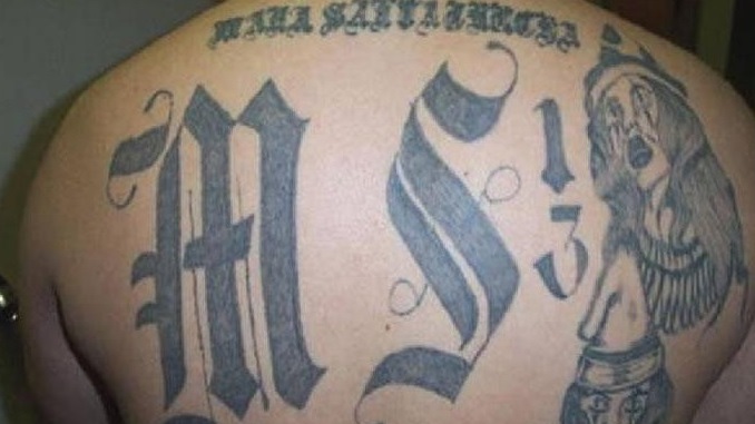 Mara_Salvatrucha