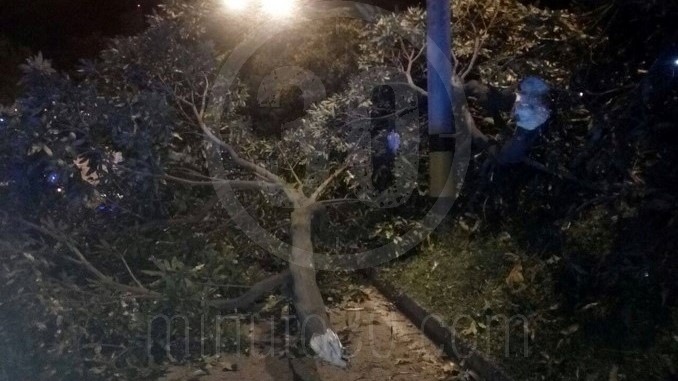 Accidente en la avenida Regional.