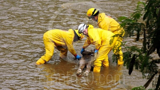 Cadáver encontrado en el río en Bello.