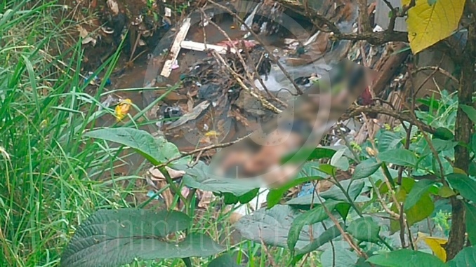 Cadáver encontrado en quebrada de Santa Cruz.