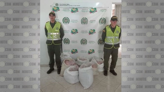 Carne de cerdo incautada en Amagá.