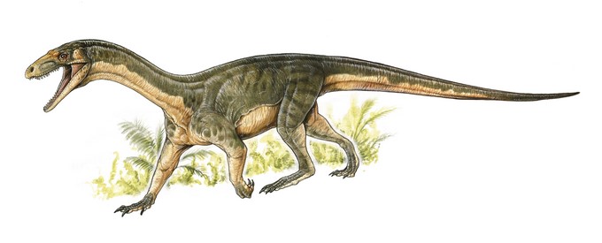Imagen facilitada por la revista Nature que muestra la reconstrucción de la especie Teleocrater rhadinus. Los primeros ejemplares del grupo biológico que dio origen a los dinosaurios y los pájaros eran animales carnívoros que caminaban a cuatro patas, según el análisis de un nuevo fósil que publica hoy la revista Nature. EFE