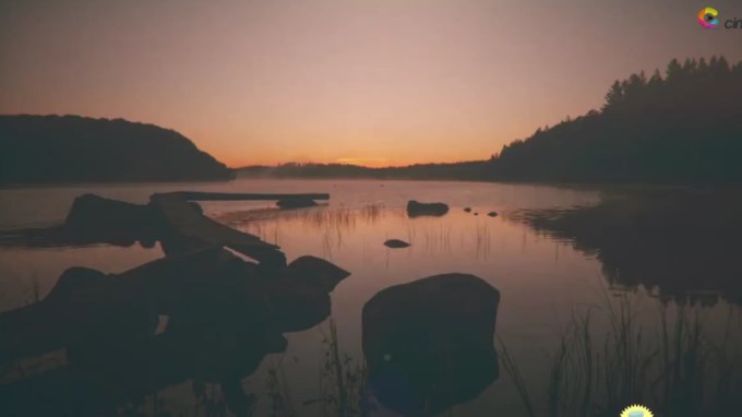 EN VIDEO: Cinco frases budistas que te cambiarán la vida