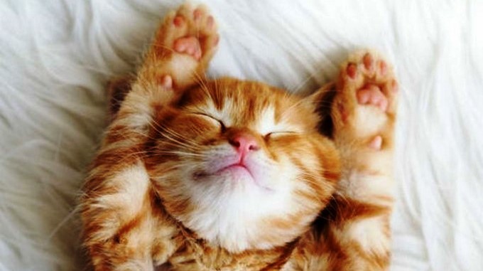 Dinos cómo eres en las mañanas y revelaremos una verdad sobre ti