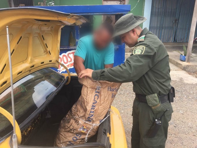 Incautan 12 cangrejos azules en zona rural de Caucasia