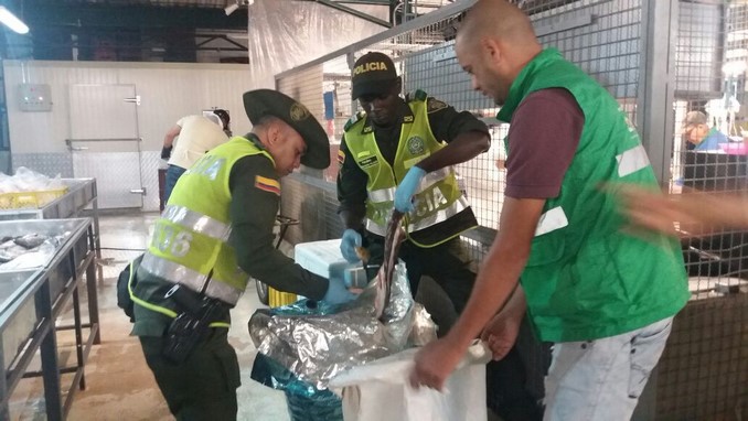Policía incautó una gran cantidad de pescado en el centro de Medellín