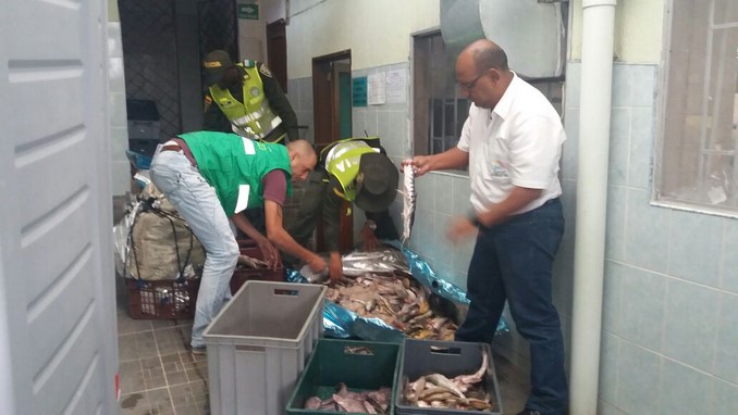 Policía incautó una gran cantidad de pescado en el centro de Medellín