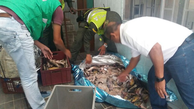 Policía incautó una gran cantidad de pescado en el centro de Medellín