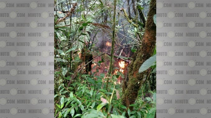 Laboratoio para el procesamiento de cocaína destruido en El Carmen de Viboral.