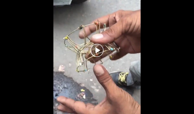 Mandala/ Tomada de Live Leak