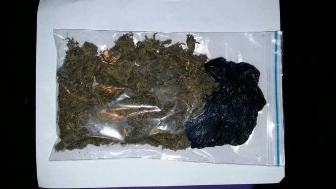 FOTOS: En San Javier arrestaron a dos sujetos a quienes les incautaron un arma de fuego y marihuana 5 Marihuana incautada en San Javier.