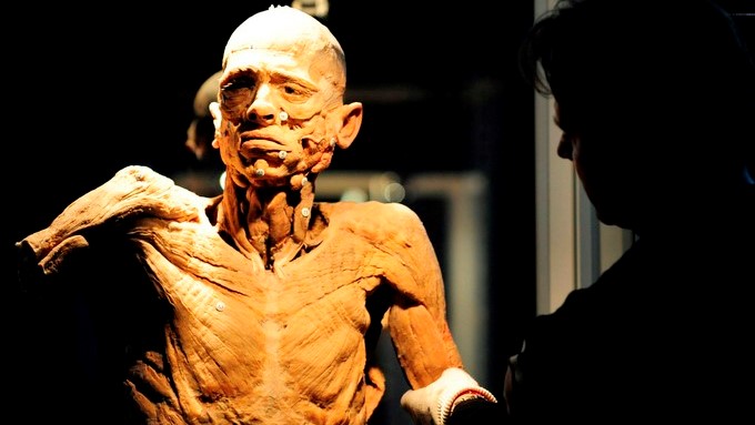 Exposición sobre anatomía cancela un espectáculo por causar desmayos