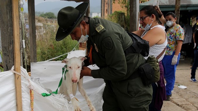 Un refugio de voluntarios, el resquicio de esperanza para animales de Mocoa