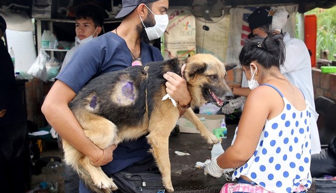Un refugio de voluntarios, el resquicio de esperanza para animales de Mocoa