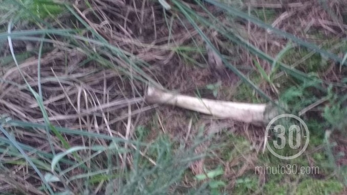 Restos óseos encontrados en Los Balsos.