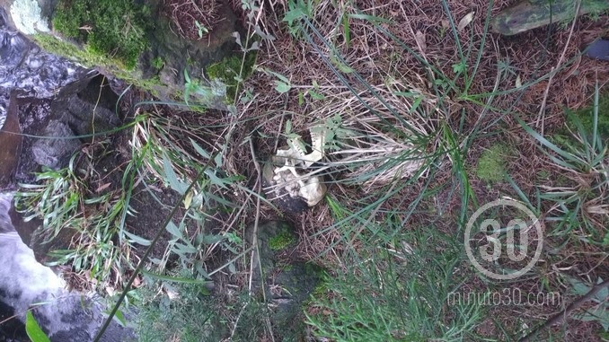 Restos óseos encontrados en Los Balsos.