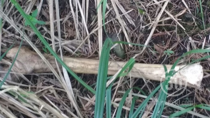 Restos óseos encontrados en Los Balsos.