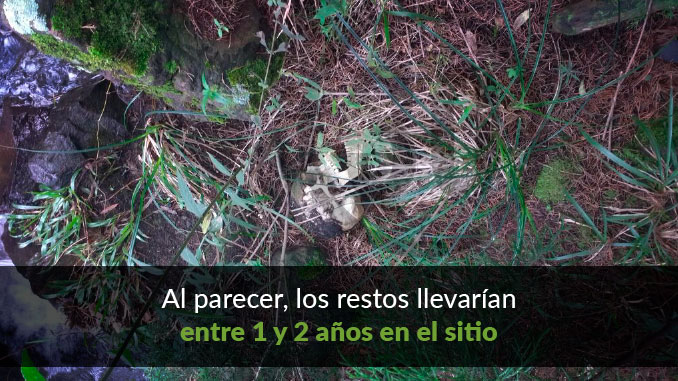 Restos óseos encontrados en Los Balsos.