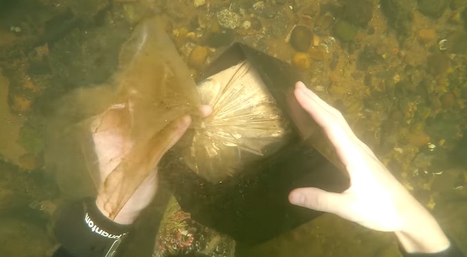 Captura tomada de Youtube: DALLMYD