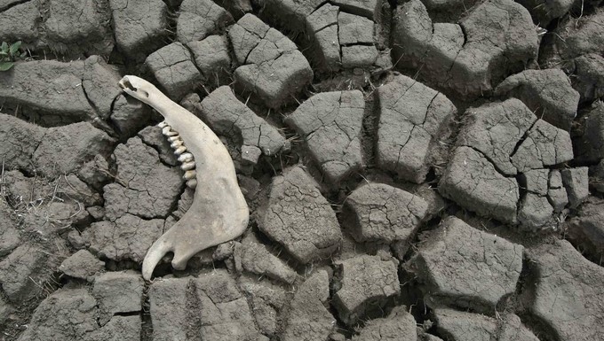 suelo seco de un arroyo en Sudamérica. EFE/Archivo