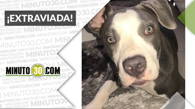 “Kyra” se perdió en Los Colores