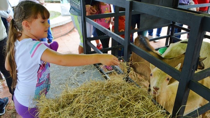 Dia_del_nino_en_La_Estrella_2