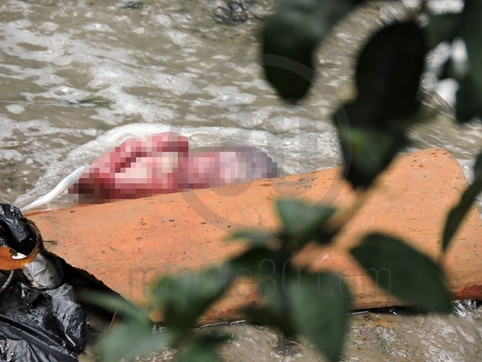 FOTOS. Hallado feto en una quebrada 7 Feto Medell%C3%ADn5