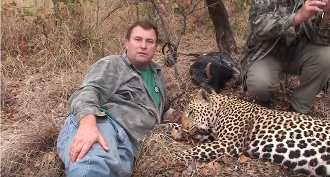 ¿Karma? Elefante aplastó a un famoso cazador durante una cacería