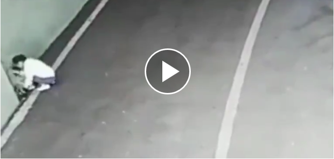 Vídeo. ¿Realmente es madre? Esta mujer abandonó a su bebé en medio de una carretera