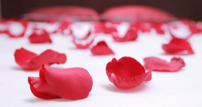 Confirmado: hay algo que aporta más felicidad que el dinero