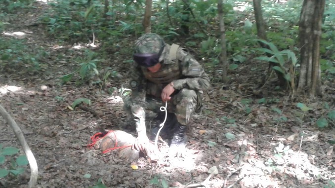 Destruyen área campamentaria del Eln en la que se fabricaban artefactos explosivos