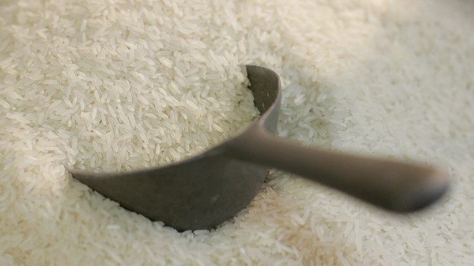 arroz arroz