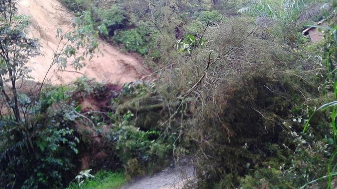 Cerrada vía a Concepción.