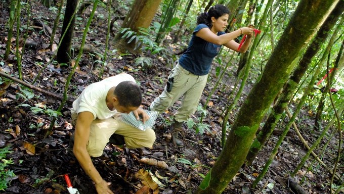 Un grupo de científicos realiza estudio botánico en la reserva natural de Isla Barro Colorado en el lago Gatún del Canal de Panamá. EFE/Archivo