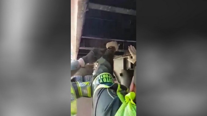 Cocaína encaletada en un tractocamión.