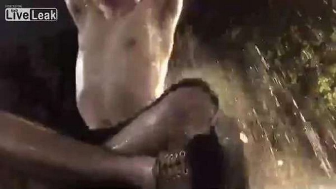 Jared McLemore/ Captura tomada de LiveLeak