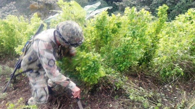 Ejército destruyó un laboratorio para procesar pasta base de coca en el Cauca