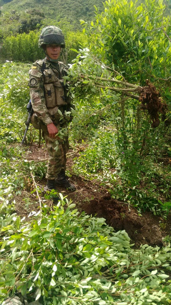 Ejército destruyó un laboratorio para procesar pasta base de coca en el Cauca