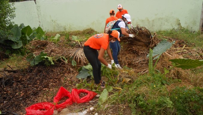 Inició la recolección de caracol africano en el Meta
