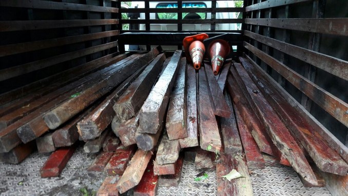 Incautan madera en el Meta por tala ilegal en predio protegido