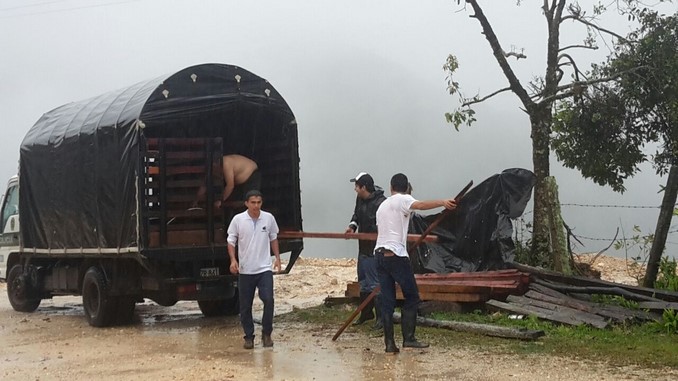 Incautan madera en el Meta por tala ilegal en predio protegido