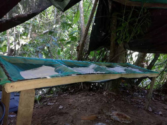 Ejército neutralizó cuatro laboratorios para procesar droga en Antioquia y Chocó