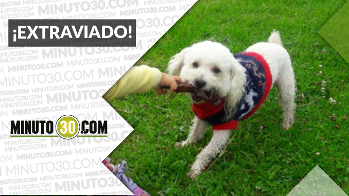 “Lukas” se perdió en Robledo