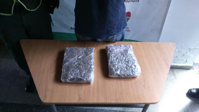 En Campo Valdés le incautaron 1.050 gramos de marihuana a un adolescente 1 Marihuana incautada en Campo Valdés.