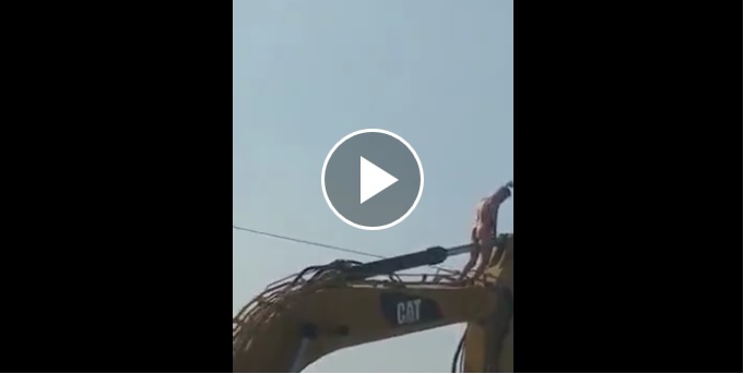 Vídeo. ¡No conoce pena! Se subió a una retro y empezó a complacerse